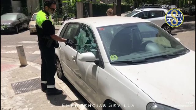 Hiszpańscy policjanci ratują małego psa zamkniętego w rozgrzanym samochodzie