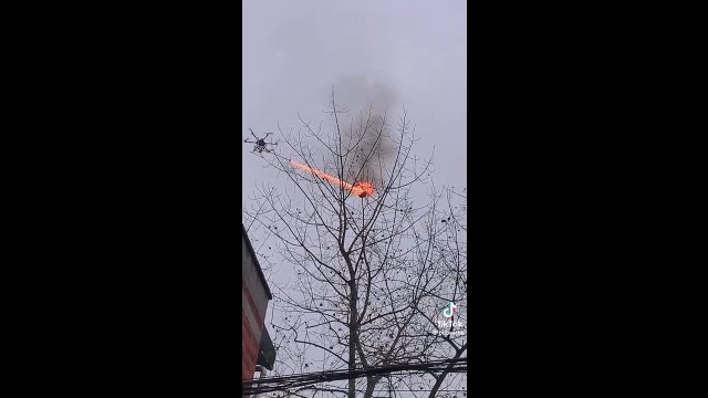 Dron z miotaczem ognia niszczy gniazdo os