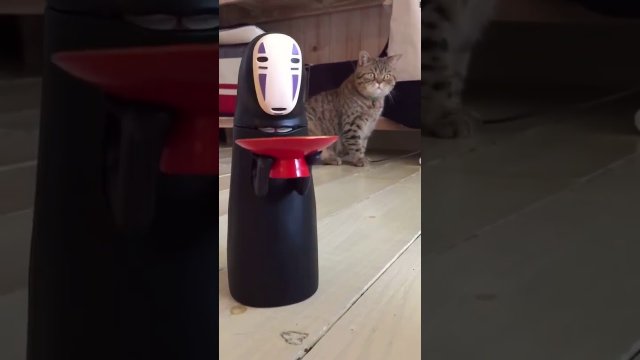 Kot zszokowany ludzką zabawką