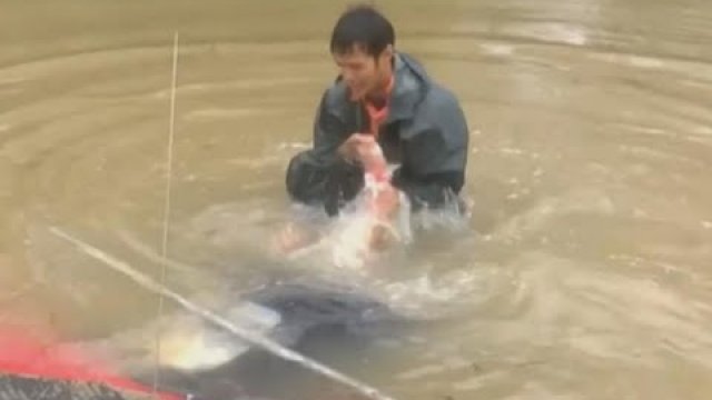 Mężczyzna ratuje kobietę, i psa kilka sekund przed zalaniem samochodu.