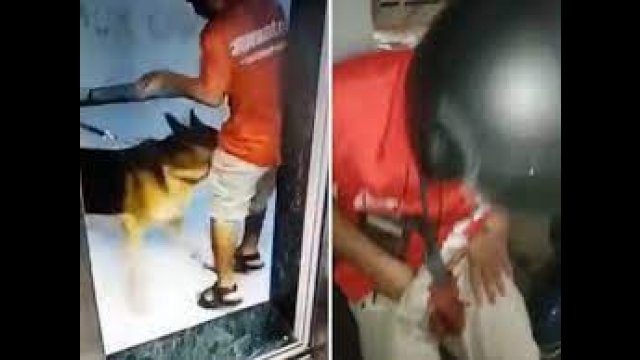 Pies ugryzł w jądra mężczyznę, który próbował wyjść z windy [WIDEO]