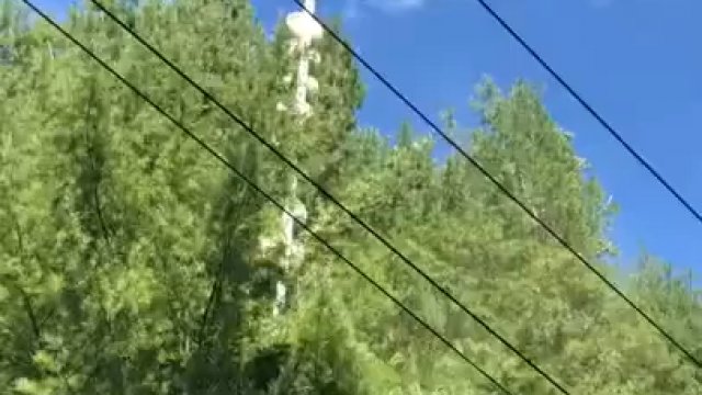 Przycinanie drzew za pomocą helikoptera