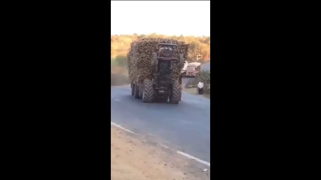 Traktor jechał z uniesionymi przednimi kołami, ciągnąc za sobą przeładowaną przyczepę