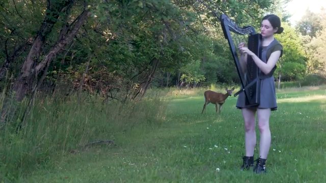 Kobieta grająca na harfie w lesie przyciągnęła jelenia, któremu spodobała się muzyka [WIDEO]