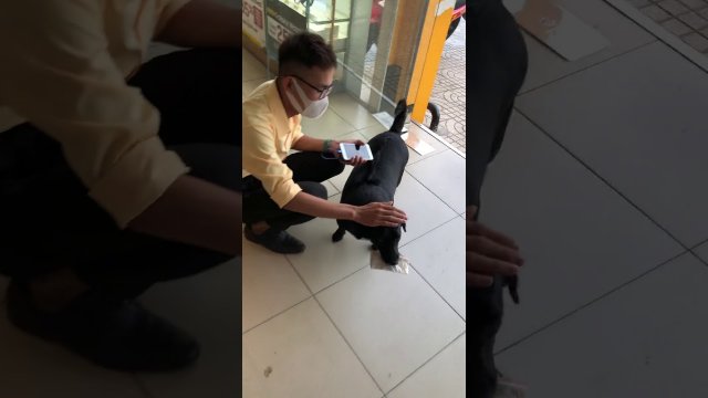 Facet wysyła psa, aby ten kupił mu los na loterii