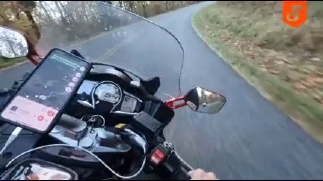 Jeleń wbiegł pod koła jadącego drogą motocyklisty