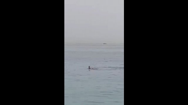 Rekin pożarł Rosjanina na oczach przerażonych turystów