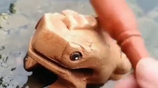 Cudowna drewniana żabka