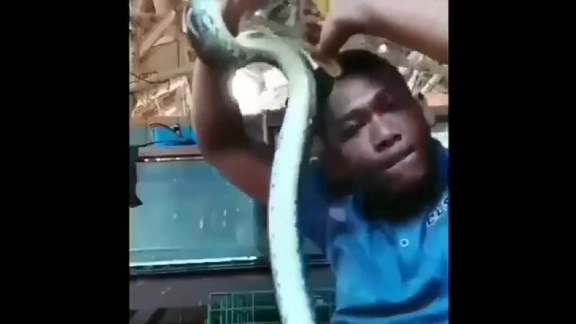Co może pójść nie przy całujowaniu węża?