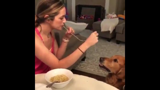 Próbowała odtworzyć romantyczny moment z filmu! Takiej reakcji psa się nie spodziewała! [WIDEO]