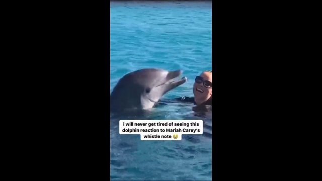 Piosenkarka dała popis umiejętności przed delfinem. Ssak się wystraszył