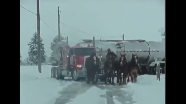 Cztery konie wyciągnęły ciężarówkę, która utknęła w śniegu