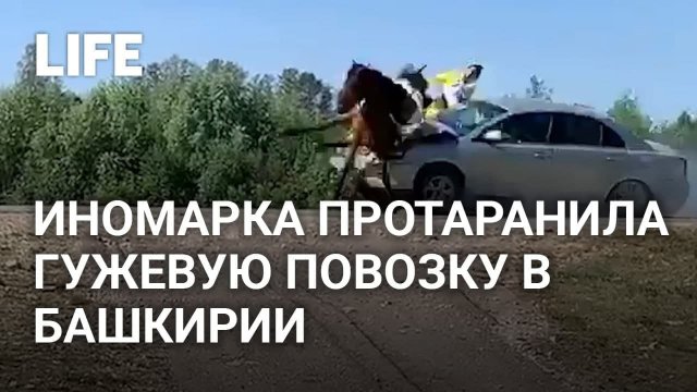Zagraniczny samochód staranował powóz konny w Baszkirii(tłumacz)