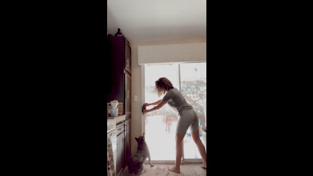 Podekscytowany pies i jego ulubiona zabawa z drzwiami [WIDEO]