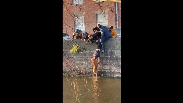 Grupa przechodniów uratowała psa, który wpadł do kanału