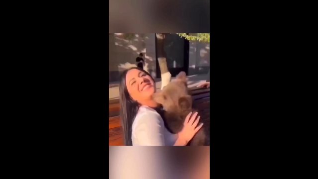 Bezmyślna kobieta wzięła na ręce małego niedźwiadka. Została ugryziona w twarz