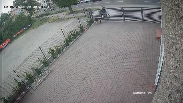 Bestialskie zachowanie rowerzysty w Legnicy. Próbował otruć psa, nagrała go kamera