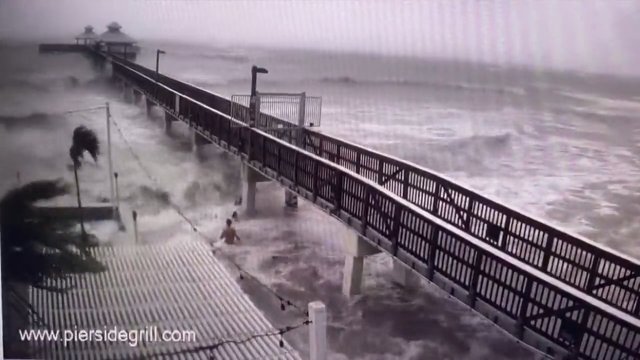 Kilku "odważnych" poszło popływać podczas huraganu