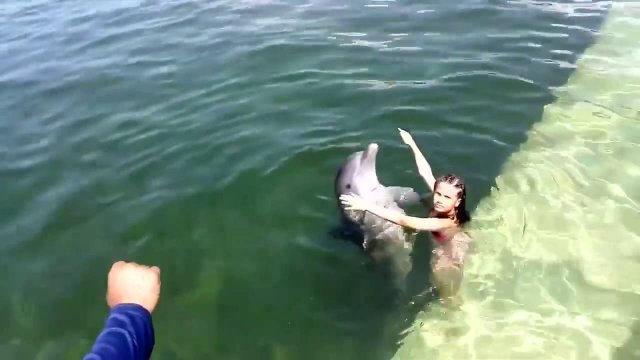 Dziewczynka uczy się pływać z delfinem