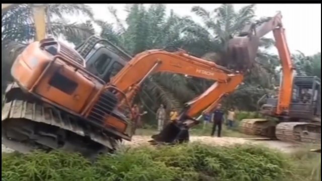 Pojedynek operatorów koparek na plantacji oleju palmowego