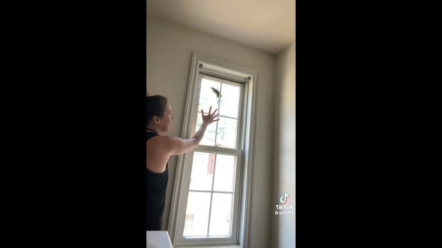 Przerażona kobieta próbowała usunąć uwięzioną wiewiórkę ze swojego okna