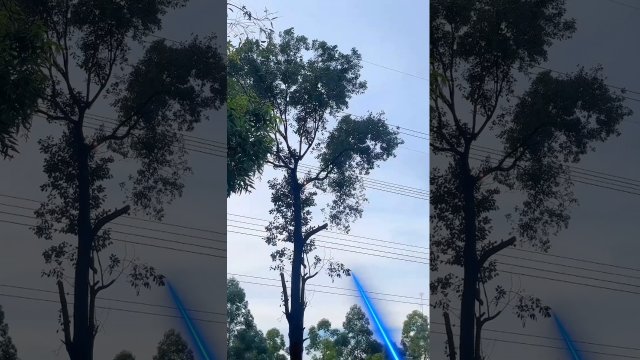 W Chinach testują laserowe obcinanie gałęzi w trudno dostępnych miejscach [WIDEO]