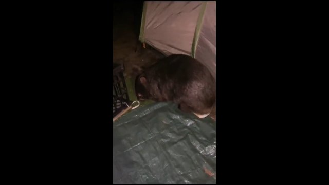 Dlaczego tyłki wombatów są tak ekscytujące?