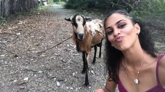 Selfie z kozą