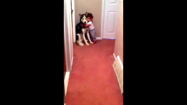 Dziecko przerażone dźwiękiem odkurzacza przytula sie do swego psa