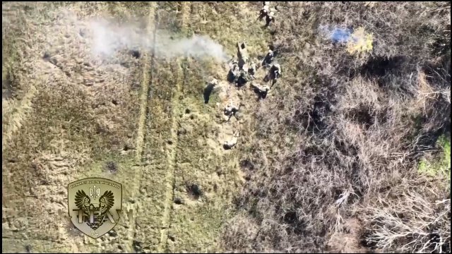Kolejny łatwy cel. Ukraiński dron zrzuca granaty na rosyjskich żołnierzy.