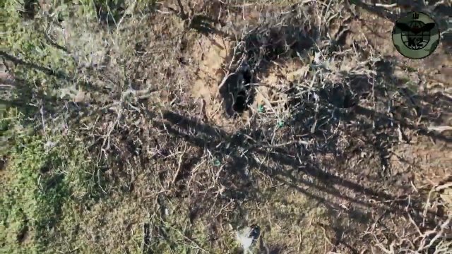 Ukraiński dron ukradł przenośną stację radiową martwego rosyjskiego żołnierza