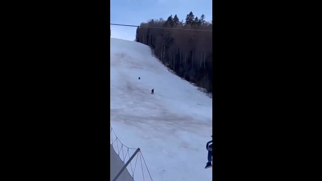 Wyobraź sobie, że podczas jazdy na nartach ściga Cię prawdziwy niedźwiedź