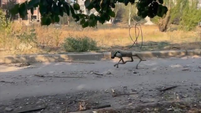 Tego przeciwnika Rosjanie łatwo nie zlikwidują. Jest nagranie z "akcji"