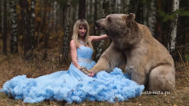 Rosyjski niedźwiedź i modelka