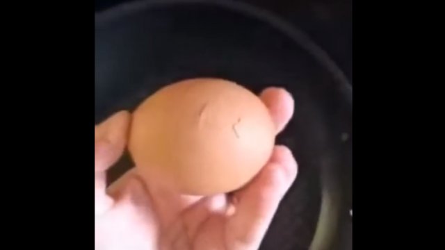 Jajko zaczęło pękać, a w środku czekała niespodzinka