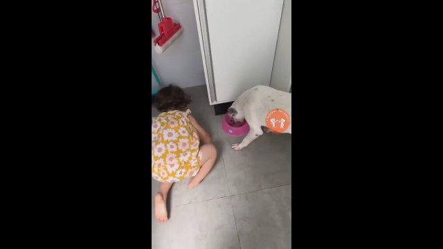 Mama uczyła córkę karmienia psa. Takiego rozwoju wydarzeń się nie spodziewała [WIDEO]