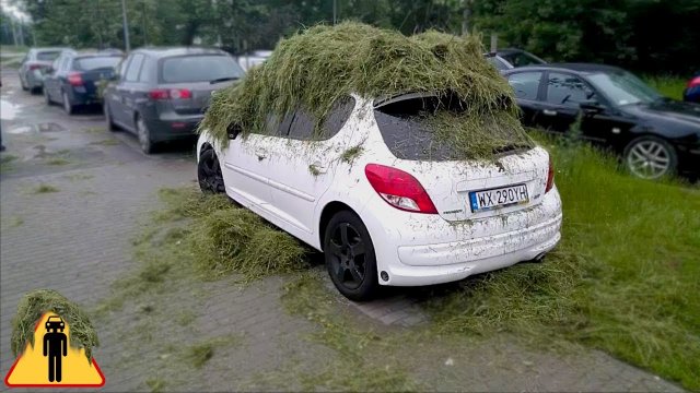 Mistrzowska akcja za parkowanie na trawniku w Warszawie