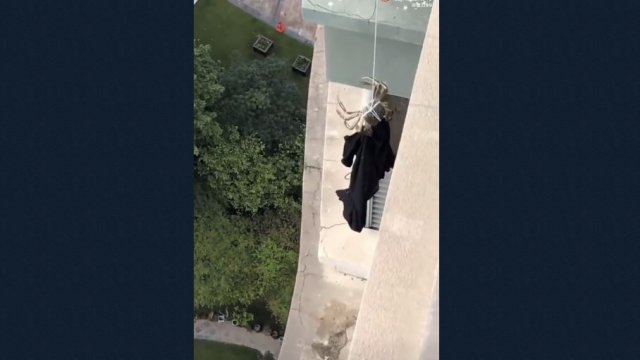 Krab chwytający koszulę, która spadła z balkonu.