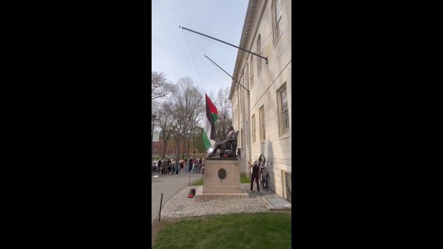 Protestujący studenci uniwersytetu Harvarda zastąpili flagę USA Palestyńską [WIDEO]