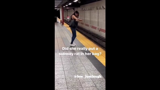 Kobieta złapała szczura na stacji metra i włożyła go do torby
