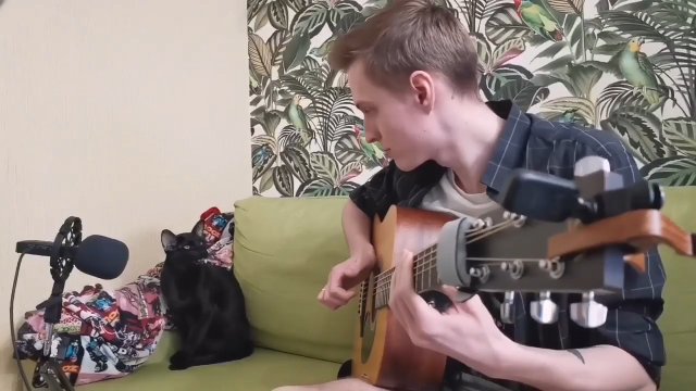 Czarny kot śpiewa bluesa