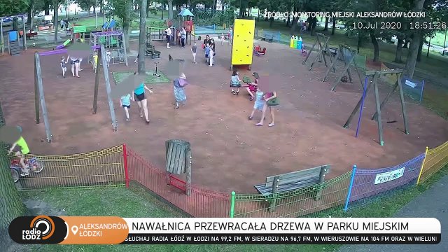 Burza w Aleksandrowie Łódzkim. Ludzie uciekali z parku przed walącymi się drzewami