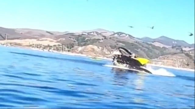 Nagranie jak wieloryb o mało nie połyka dwóch osób w kajaku