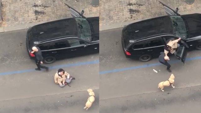 Kierowca Bolta wyrzucił z auta niewidomą kobietę – bo miała psa przewodnika