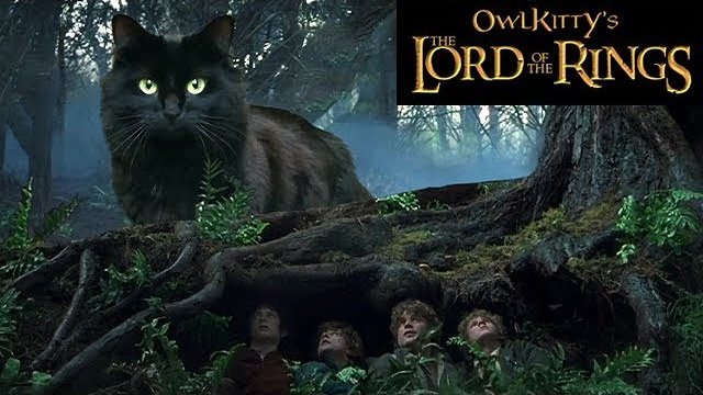 Lord of the Rings w wersji z kotem