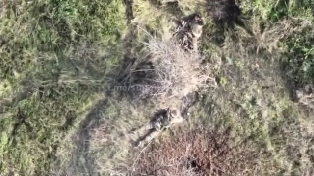 Granaty spadły na rosyjskich żołnierzy odpoczywających na otwartym polu
