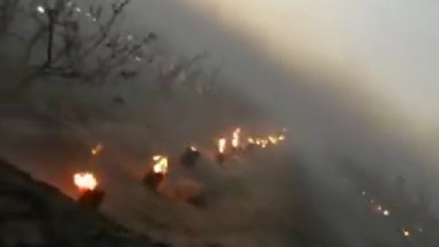 Rolnicy rozpalali ogniska, aby ogrzać teren wokół drzew