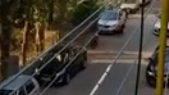 Człowiek nagrywa psa goniącego małpę skaczącą po autach