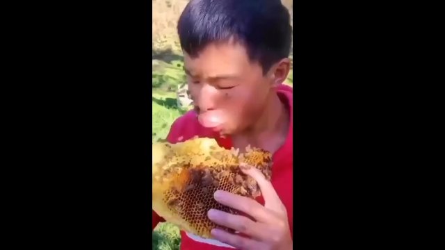 Mężczyzna zjadł plaster miodu i przy okazji został użądlony przez pszczoły