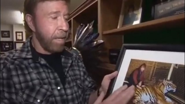 Chuck Norris opowiada żart o sobie i tygrysie [WIDEO]